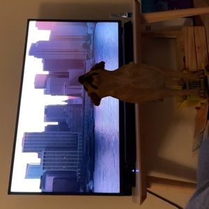 Meet your Posher, Tetsu